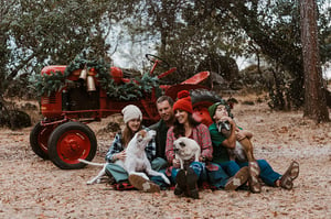 Image of Saturday November 30th Christmas Mini Sessions $300