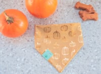 Image 1 of guerro fall vibes bandana