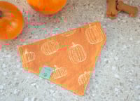 osito fall vibes bandana