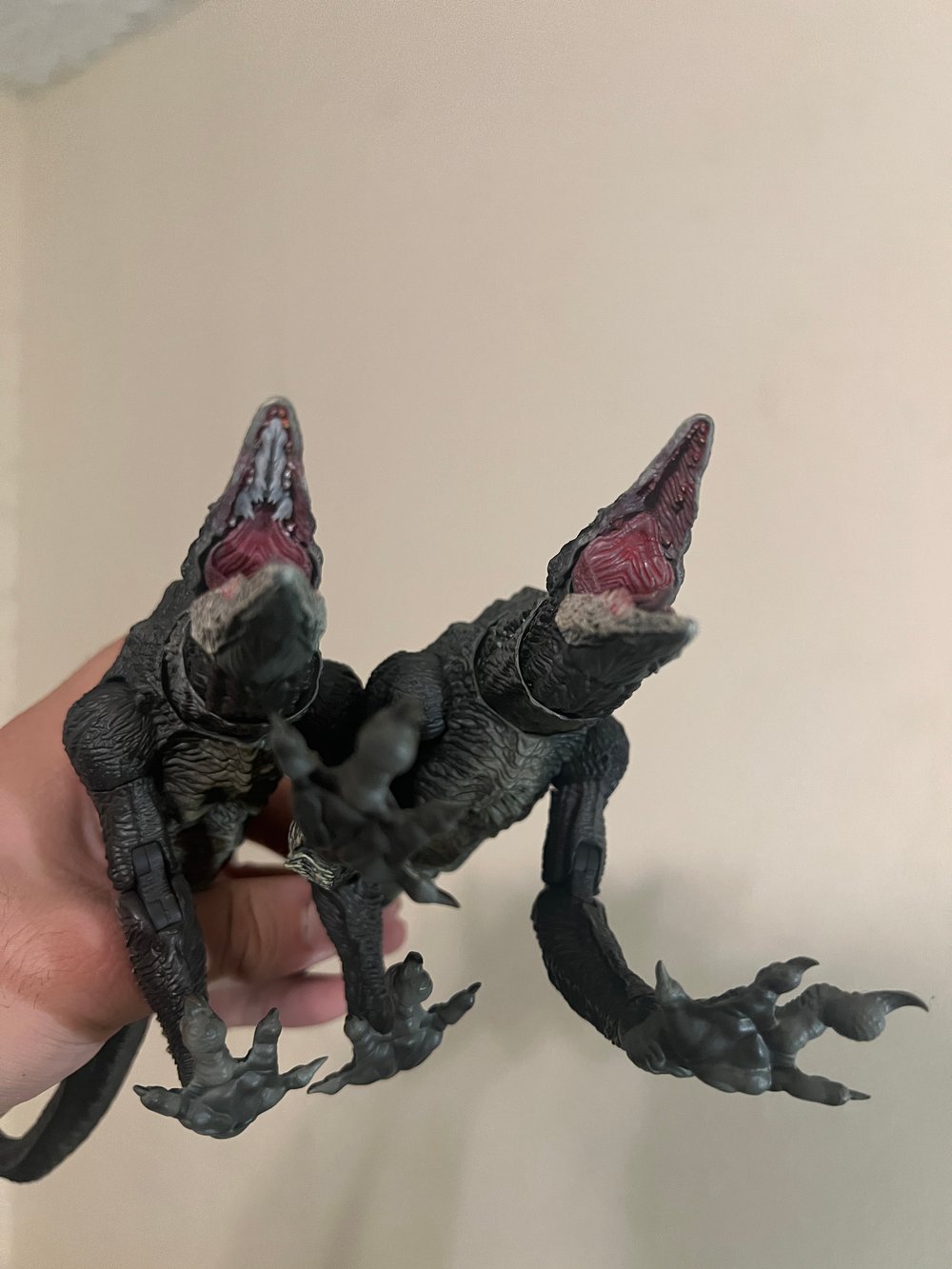 Devil’s Dentures
