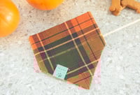 Image 1 of emile fall vibes bandana