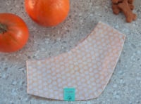 Image 1 of dobby fall vibes bandana