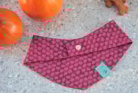 Image 3 of iris fall vibes set