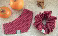Image 1 of iris fall vibes set
