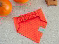 Image 2 of bear fall vibes bandana