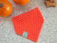 Image 1 of bear fall vibes bandana