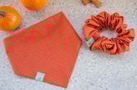 Image 1 of pumpkin fall vibes set