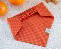 Image 3 of pumpkin fall vibes set