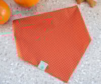 Image 2 of pumpkin fall vibes set