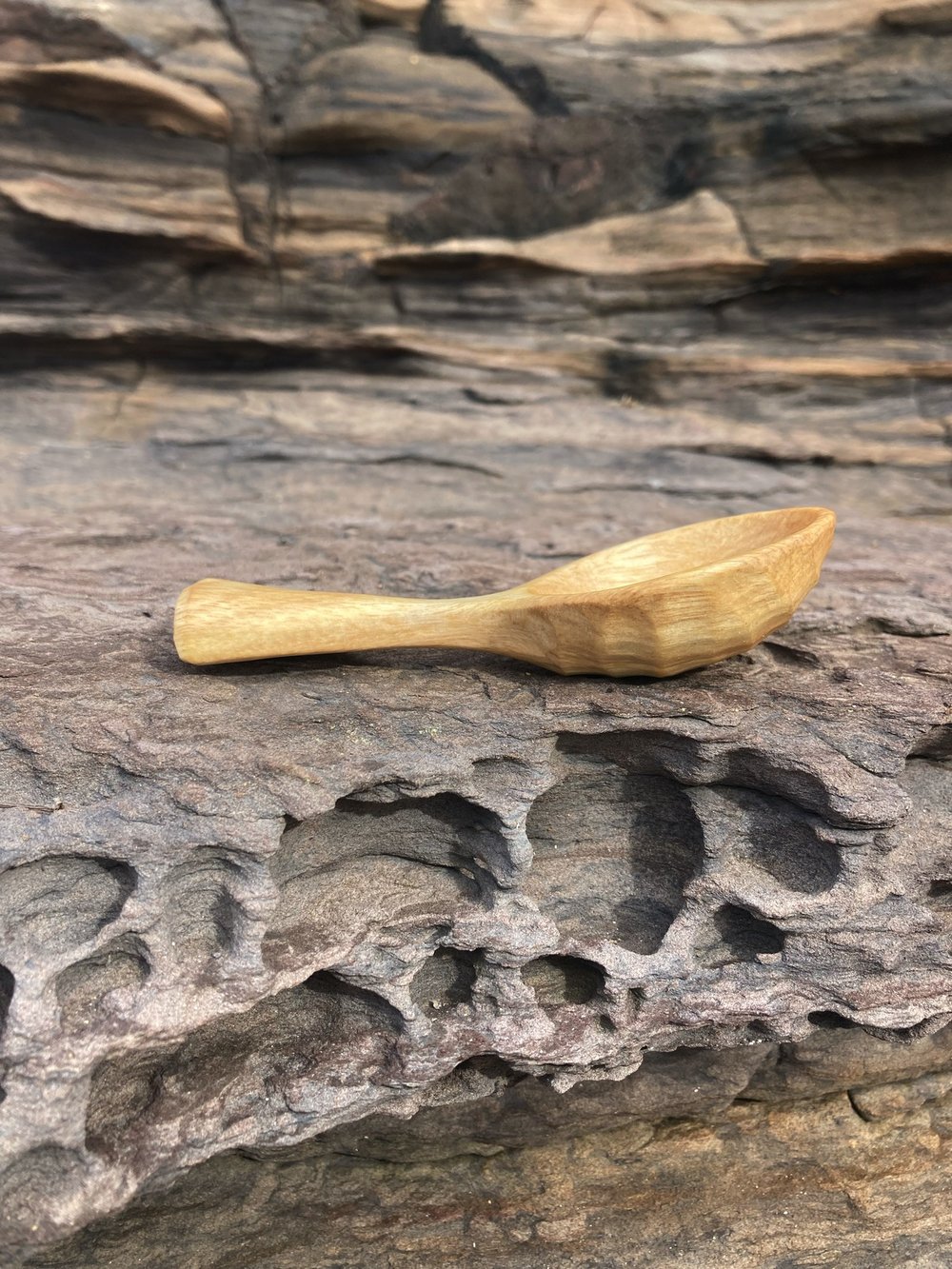 Image of Flowering Gum Coffee Scoop
