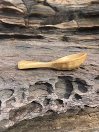 Image 1 of Flowering Gum Coffee Scoop