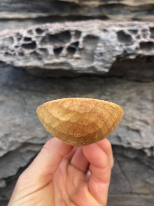 Image of Flowering Gum Coffee Scoop
