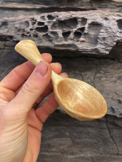 Image of Flowering Gum Coffee Scoop