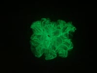 Image 9 of mystique glow in the dark reversible tie on espooky set