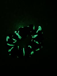 Image 8 of ollie glow in the dark espooky set