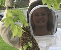 Image 3 of 1 Pound Raw Honey from Finger Lakes Region NY- unfiltered, not pasteurized