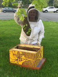 Image 3 of 3 Pound Bottle of Pure and Natural Raw Honey- Locust, Maple Trees in Finger Lakes area NY
