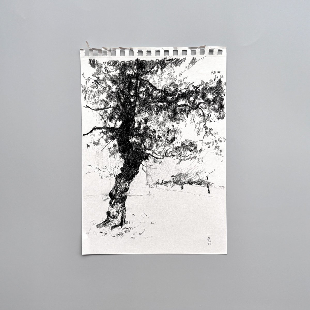 Victoria Square Penarth Tree sketch by Ksenia Kudelkina