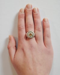 Image 5 of Caviar