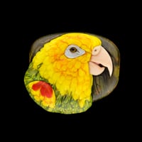 Image 1 of XL. Cheeky Yellow Headed Amazon Parrot - Glass Sculpture Bead