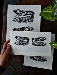 Image 1 of "Wingless" fine art prints