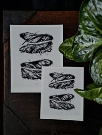 Image 2 of "Wingless" fine art prints