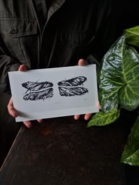 Image 4 of "Wingless" fine art prints