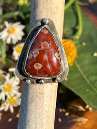Image 1 of Uber Rustic Ring featuring Jasper