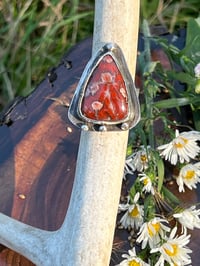 Image 5 of Uber Rustic Ring featuring Jasper