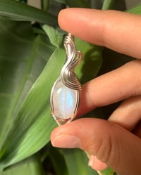 Image 3 of RainbowMoonstone Pendant