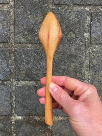 Image 2 of Banksia Eating Spoon 3