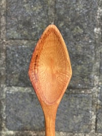 Image 4 of Banksia Eating Spoon 3