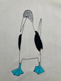 Image 4 of Blue Footed Booby T - shirt