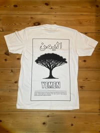 Image 1 of Socotra Dragon Tree, Yemen - tee