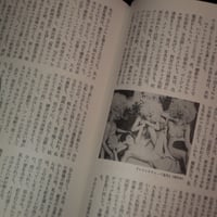 Image 5 of Image Forum No.36