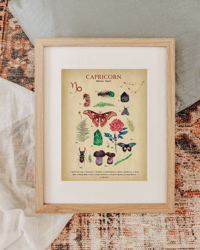 Image 2 of Vintage Capricorn Nature Chart 