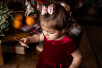 Image 5 of CHRISTMAS MINI SESSIONS 2024