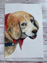 Image 1 of Pet portraits in Watercolours