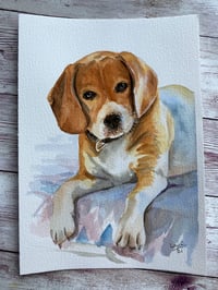 Image 2 of Pet portraits in Watercolours