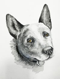 Image 3 of Pet portraits in Watercolours