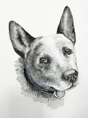 Image of Pet portraits in Watercolours