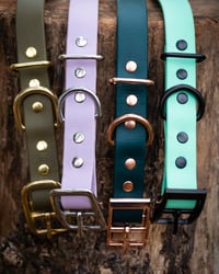Image 2 of Deluxe Collar - Stainless Hardware