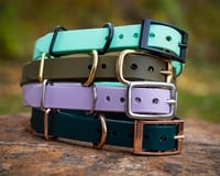 Image 3 of Deluxe Collar - Stainless Hardware