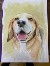 Image 4 of Pet portraits in Watercolours