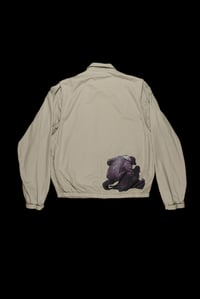 Image 1 of Sprayer jacket - beige (unique)