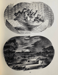 Image 11 of Barnettt Freedman by Jonathan Mayne