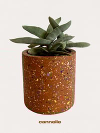 Image 3 of Cache-pots TERRAZZO 