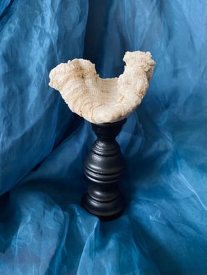 Image of Création unique : corail monté sur socle en bois