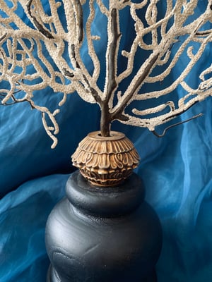 Image of Création unique : gorgone montée sur socle