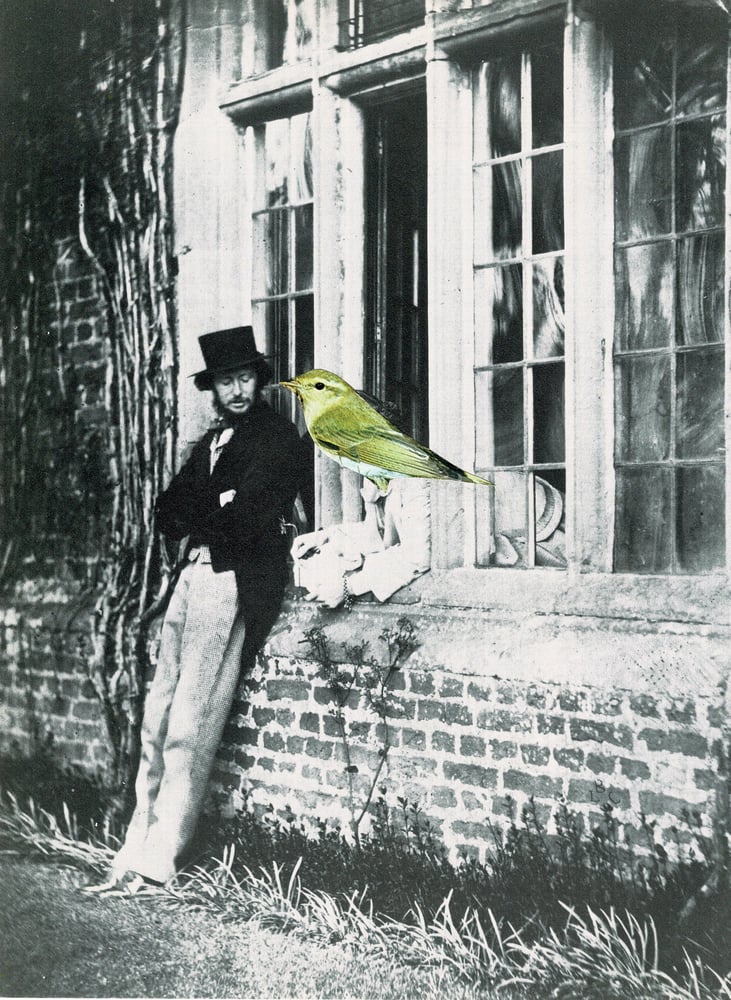 Image of Learning To Listen: A different kind of love story